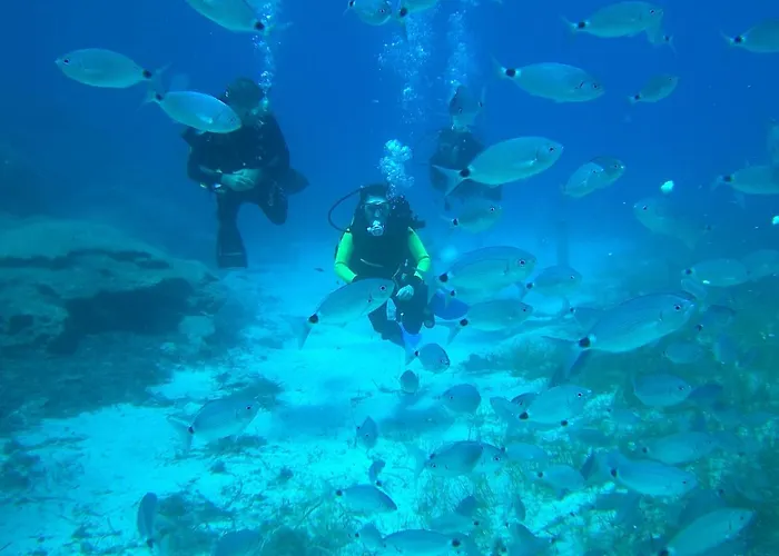 Semesteranläggning (resort) Malama Village