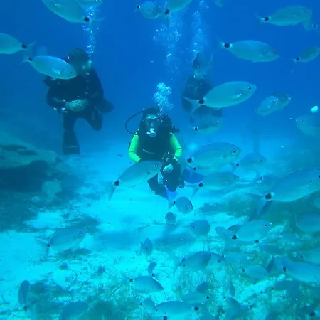 リゾート Malama Village